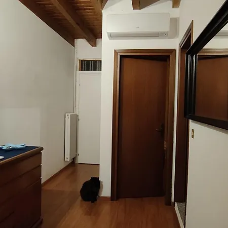 Petronia & Historic Centre Apartment